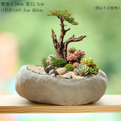 Stone Textured Ceramic Succulent Planter – planter photo 8