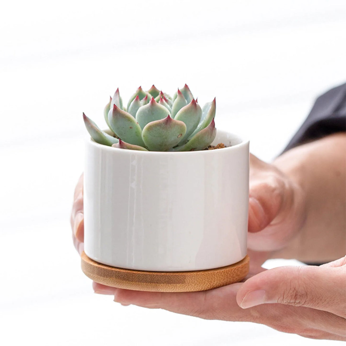 8x6cm Mini Flowerpot Simple White Ceramic Round Bottom Flowerpot For Succulent Plant Cactus Cute Gardening Planting Supplies