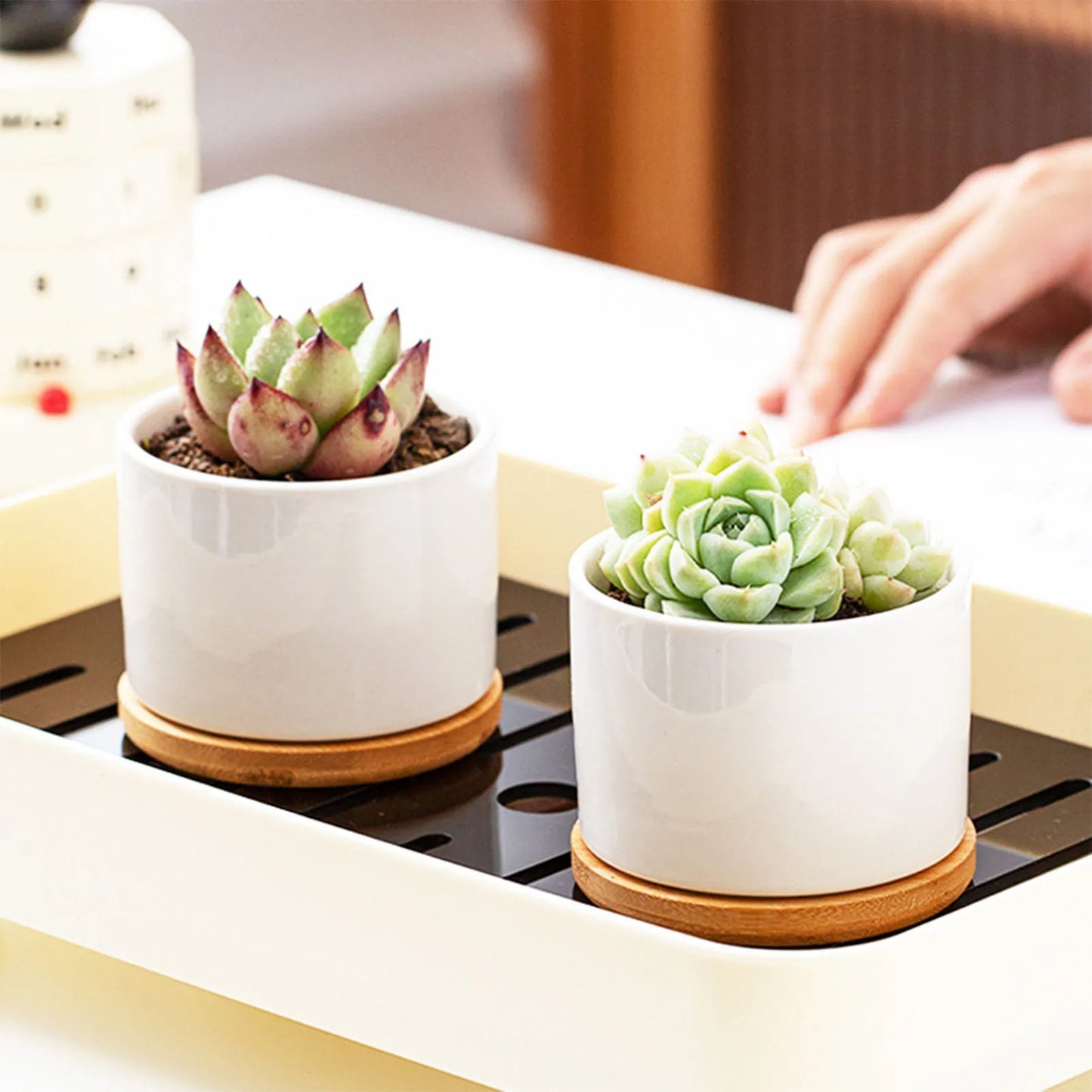 8x6cm Mini Flowerpot Simple White Ceramic Round Bottom Flowerpot For Succulent Plant Cactus Cute Gardening Planting Supplies
