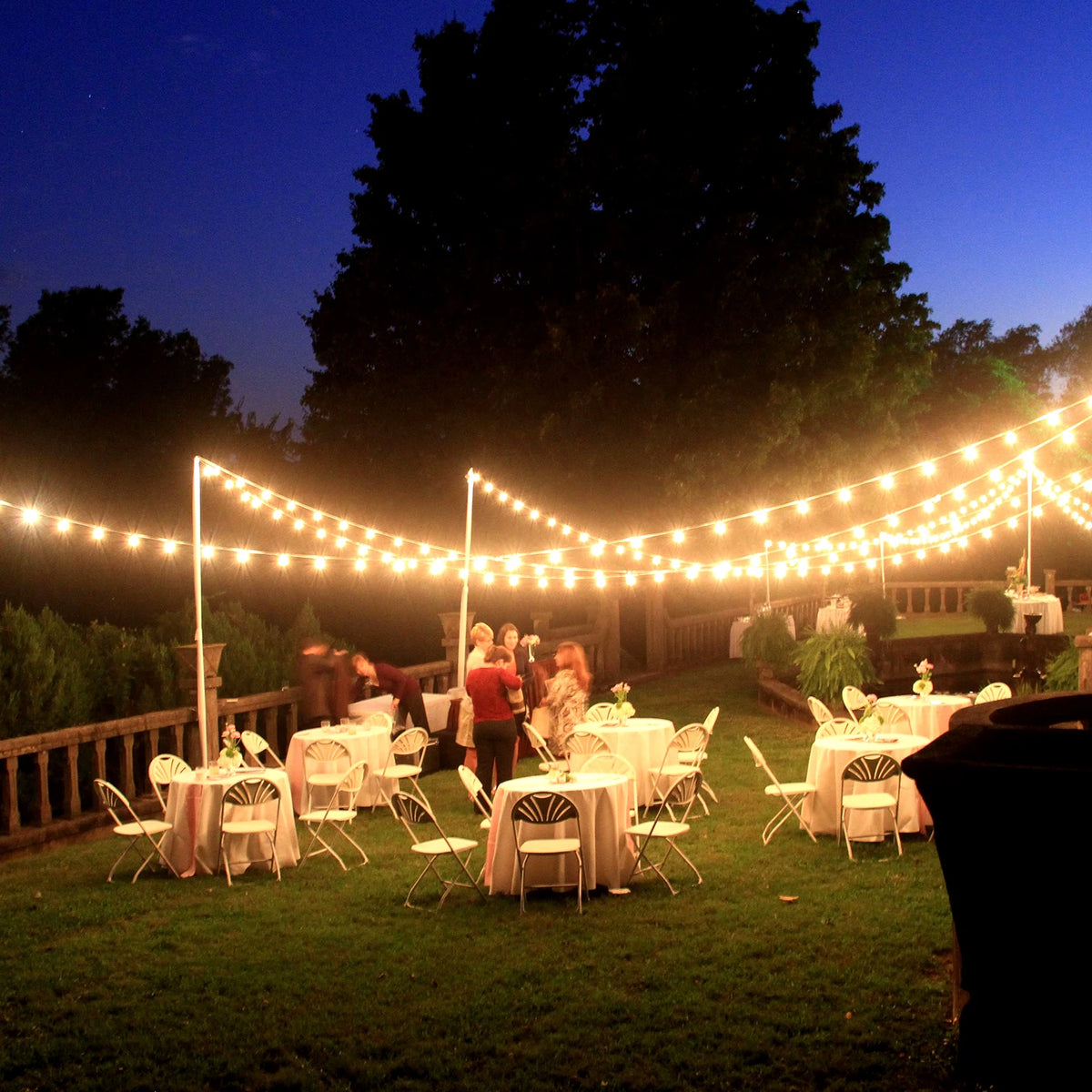 50FT ST38 LED Globe String Lights, 12 Bulbs 2700K Warm White, E12 High Voltage, Black Cable with Hooks & Replaceable Line
