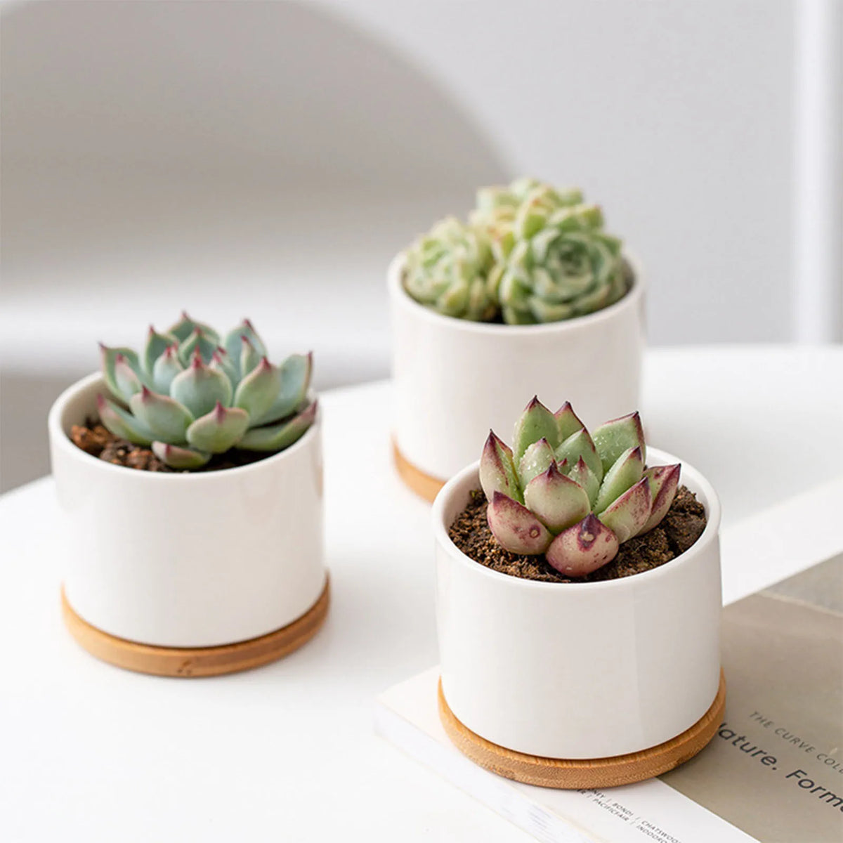 8x6cm Mini Flowerpot Simple White Ceramic Round Bottom Flowerpot For Succulent Plant Cactus Cute Gardening Planting Supplies