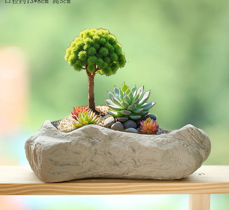Stone Textured Ceramic Succulent Planter in Medium, Rock Bowl
