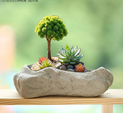 Stone Textured Ceramic Succulent Planter in Medium, Rock Bowl
