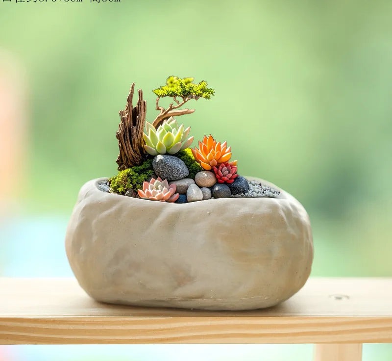 Stone Textured Ceramic Succulent Planter in Small, Rock Bowl